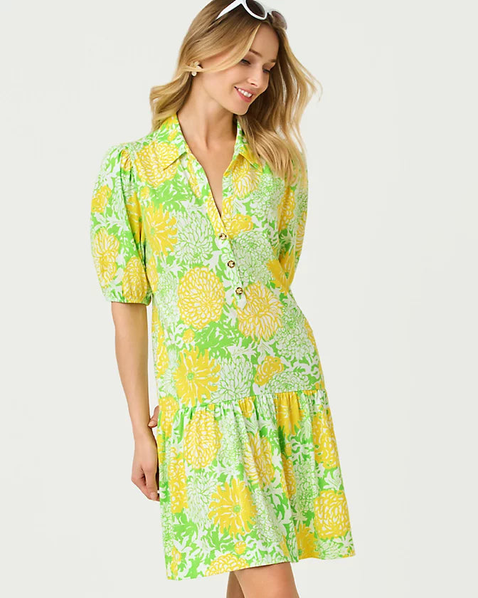 Bingley Dress (Crocodile Green Mumbo Jumbo)