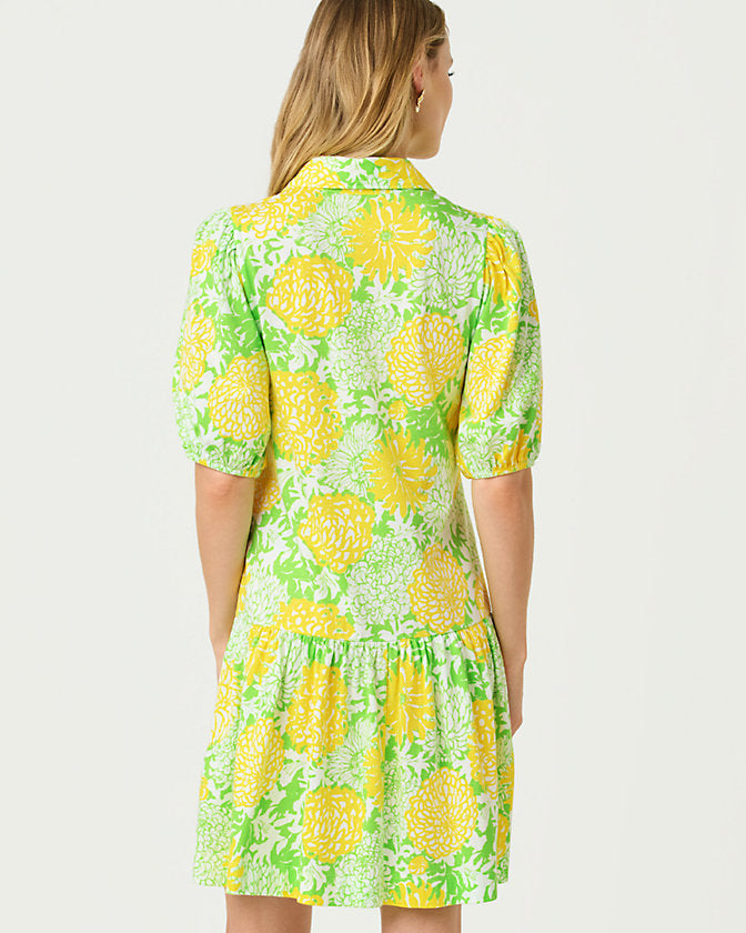 Bingley Dress (Crocodile Green Mumbo Jumbo)