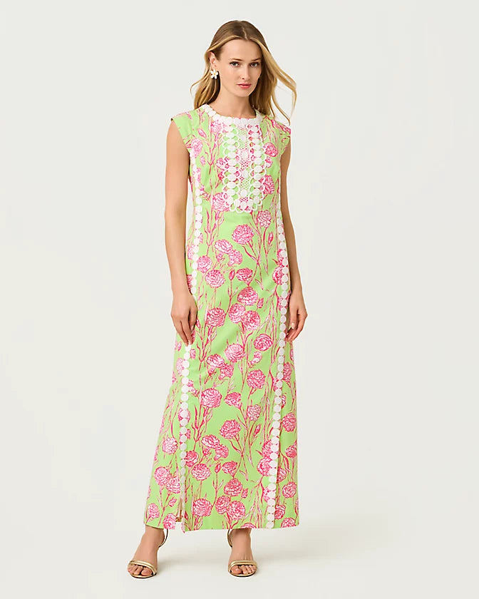 Rosalena Stretch Maxi Shift Dress (Pistachio Macaron Alina)