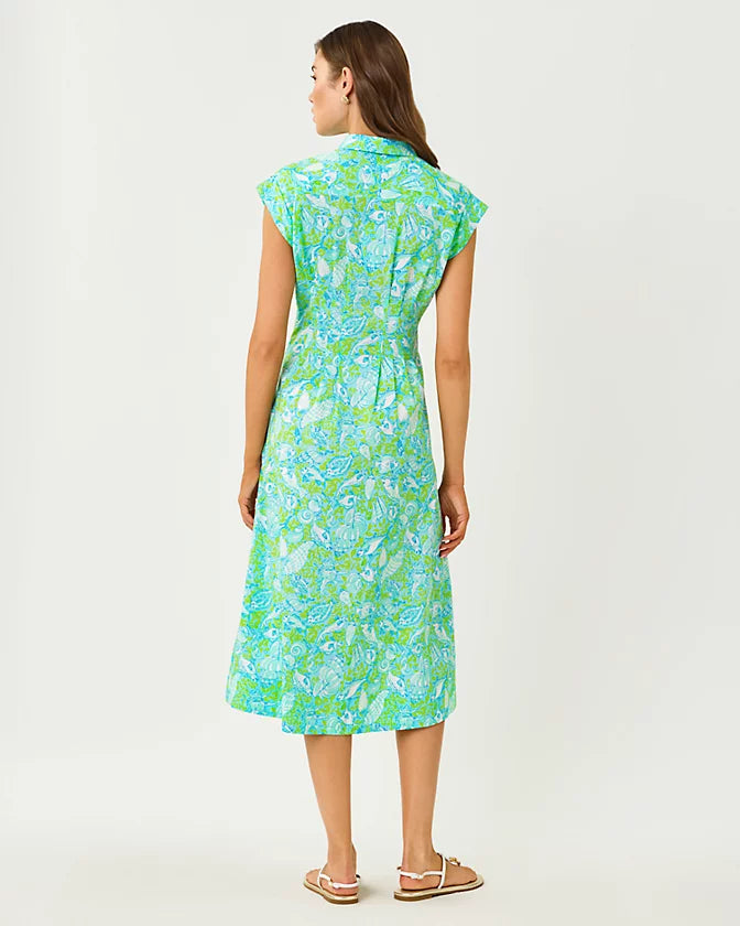 Tonya Midi Shirtdress (Day Dream Blue Throw Me a Line)