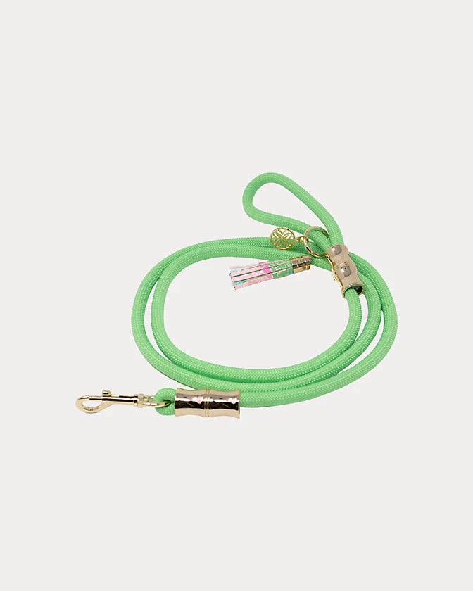 Pet Leash (Crazy Quilt Home)