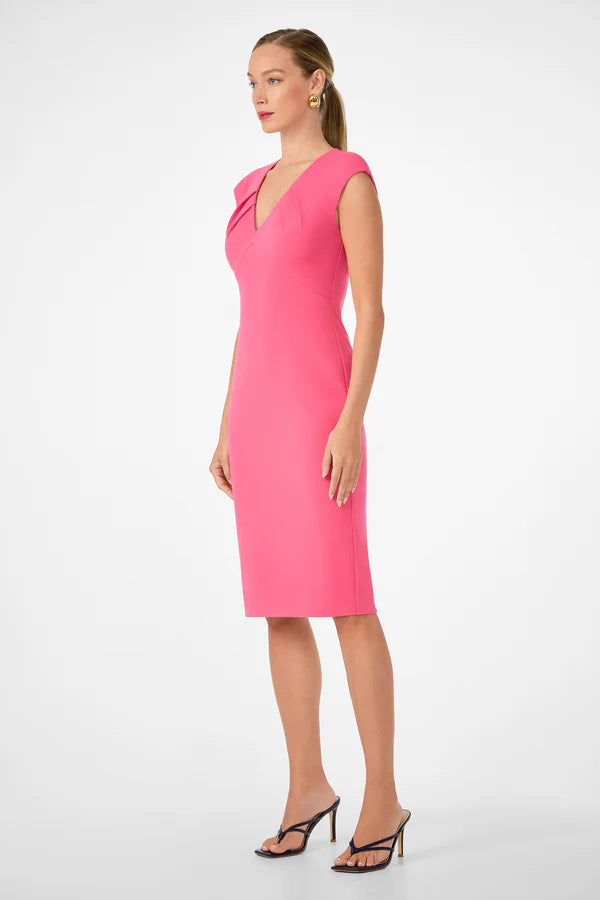 Vibrant Dress (Rio Rose)
