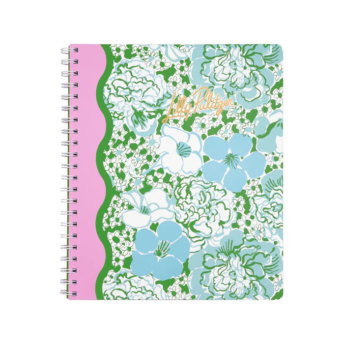 Large Notebook (Mint Condition Burst of Joy)