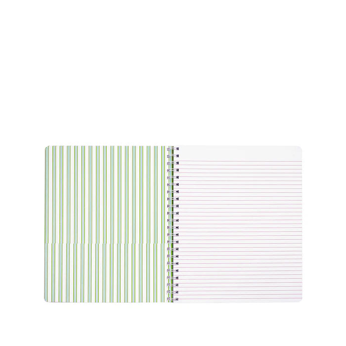 Large Notebook (Mint Condition Burst of Joy)