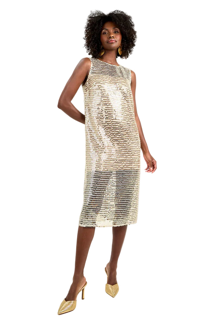 Eleanor 3 Dress (Bonita Beige)