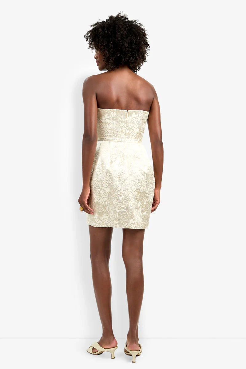 Kalley Dress (Bonita Beige/Gold)
