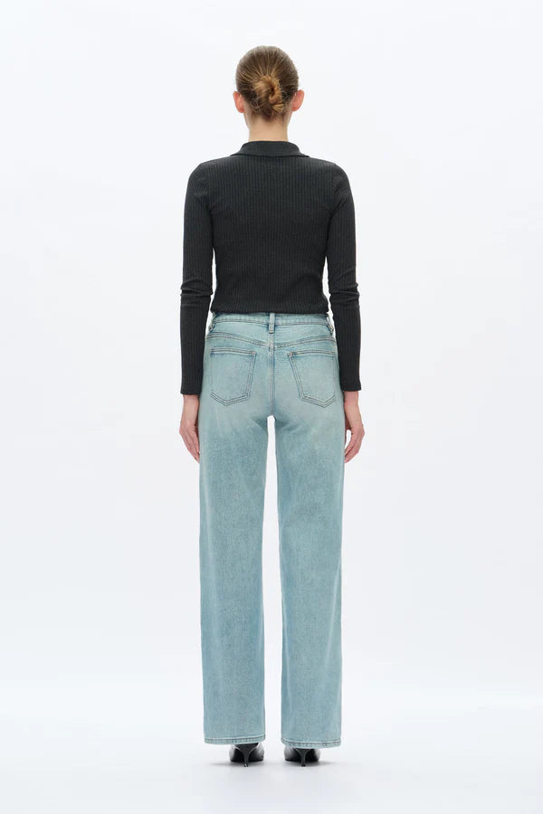 Low Rise Jeans  (Light Blue)