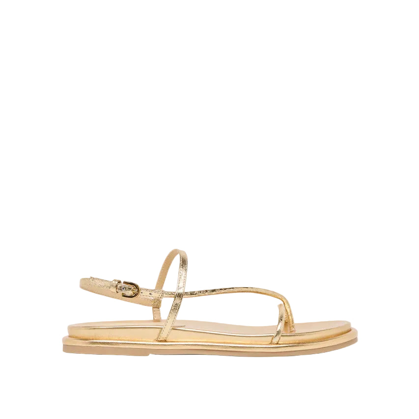 Dom (Gold Distressed Leather)