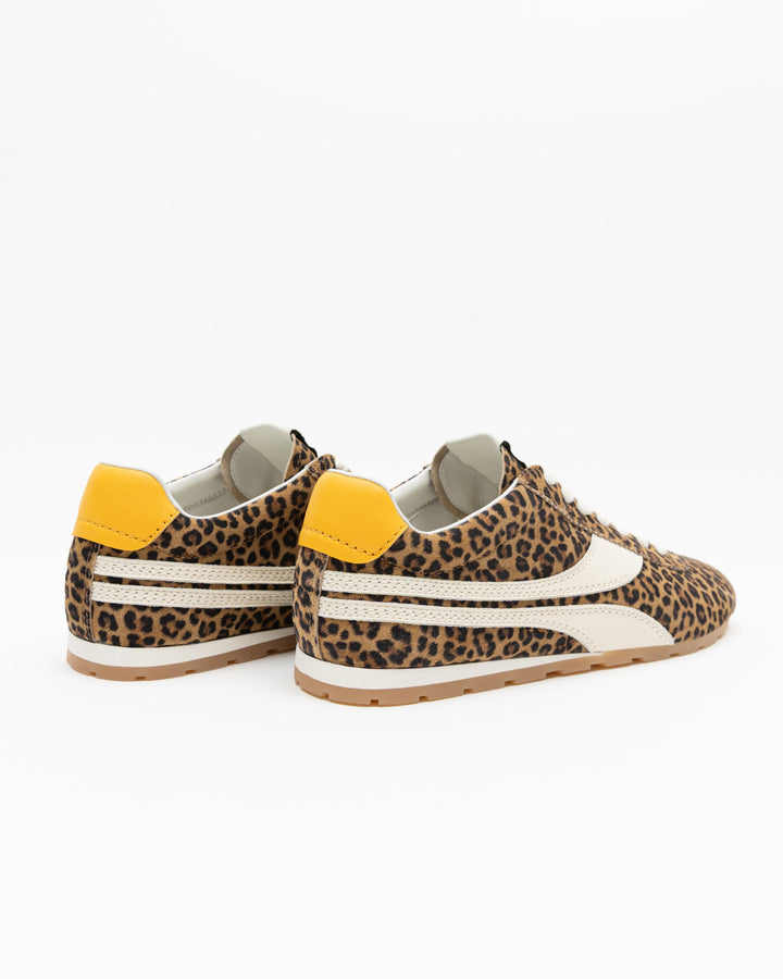 Essex (Leopard)