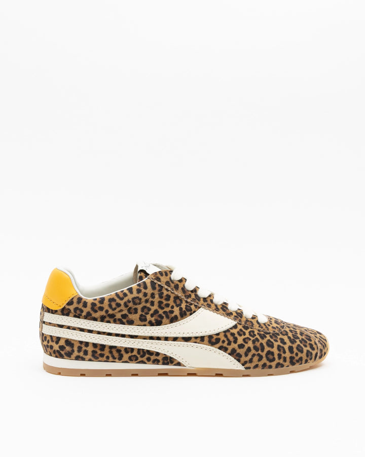 Essex (Leopard)