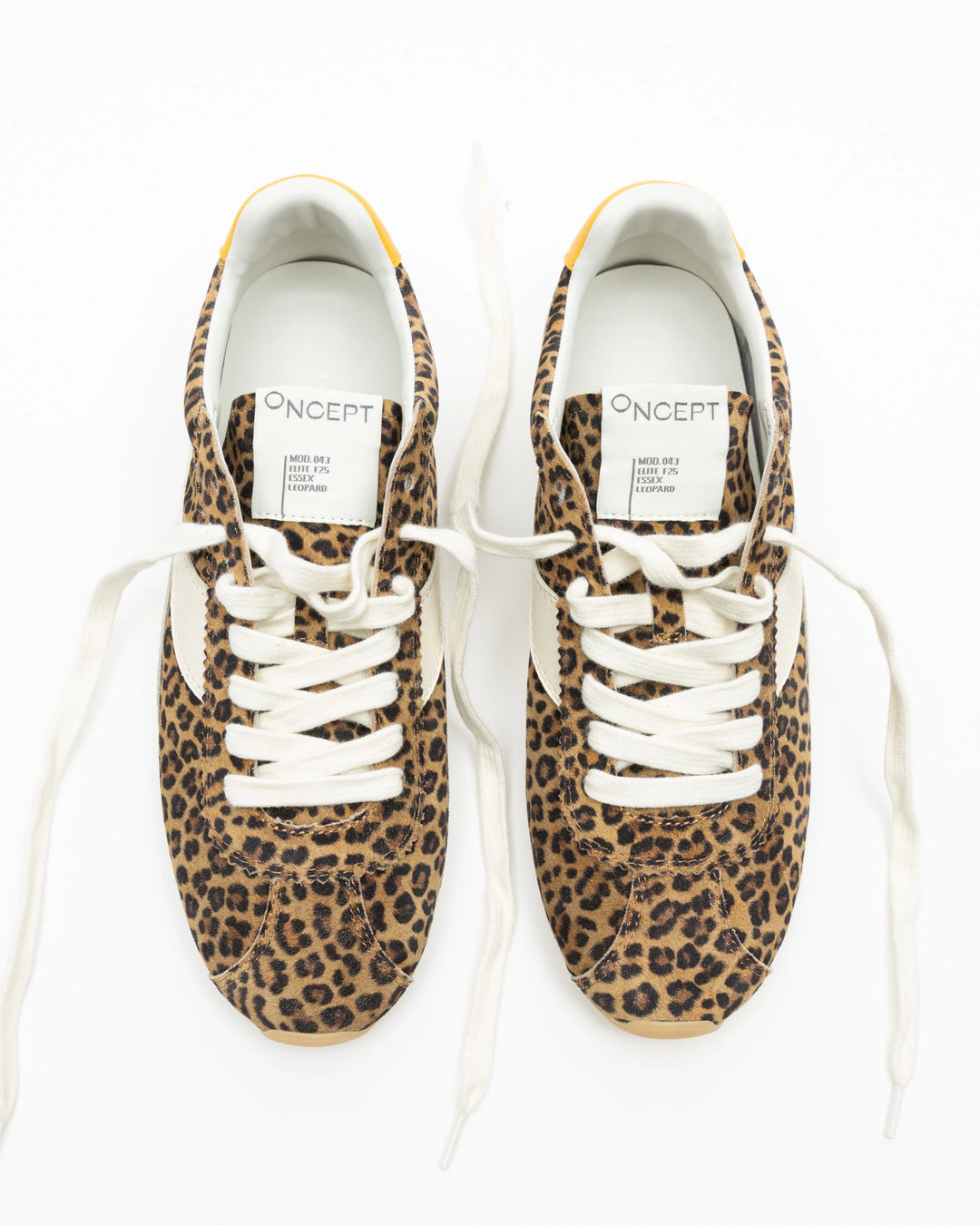 Essex (Leopard)