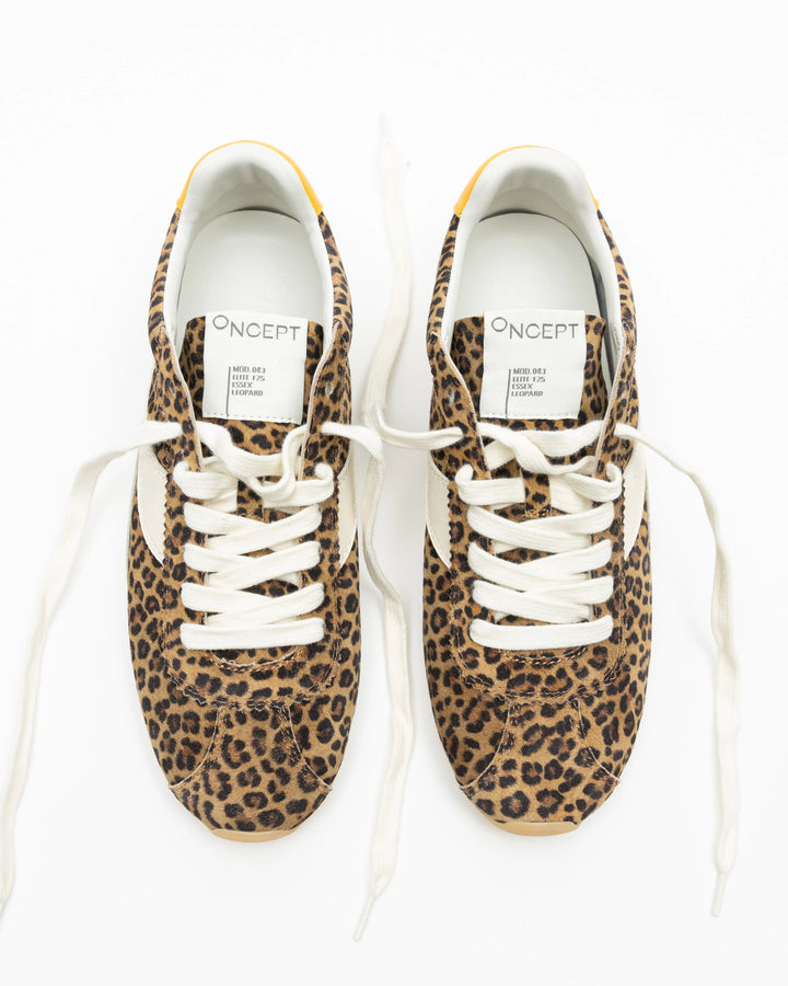 Essex (Leopard)