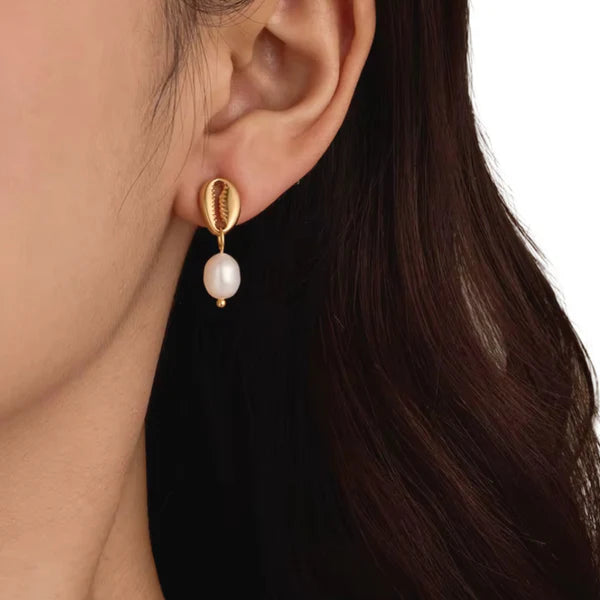 Cowrie Shell Studs