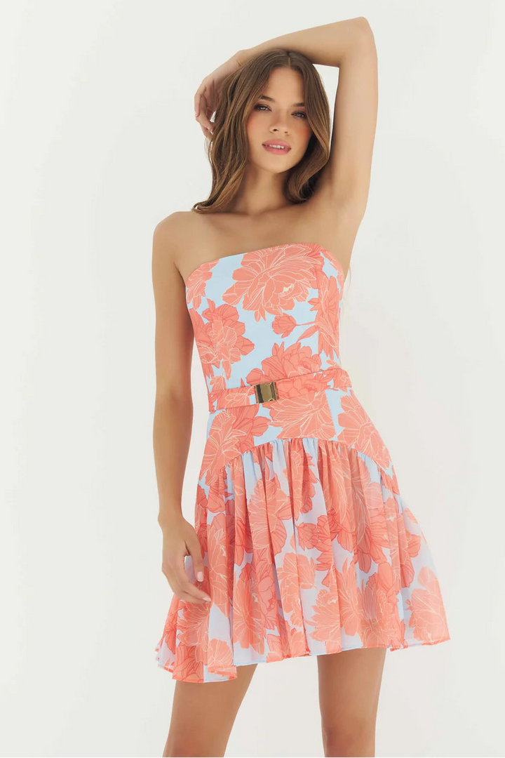 Rowyn Dress (Sky/Coral Layered Outline Peonies)