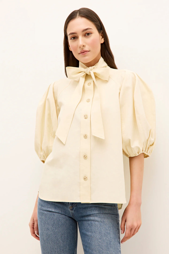 Navi Top (Turtledove)