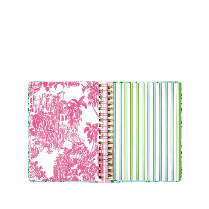 Large 17 Month Agenda (Mint Condition/Burst of Joy)