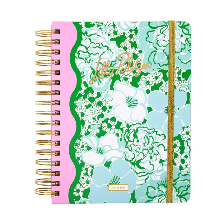Large 17 Month Agenda (Mint Condition/Burst of Joy)