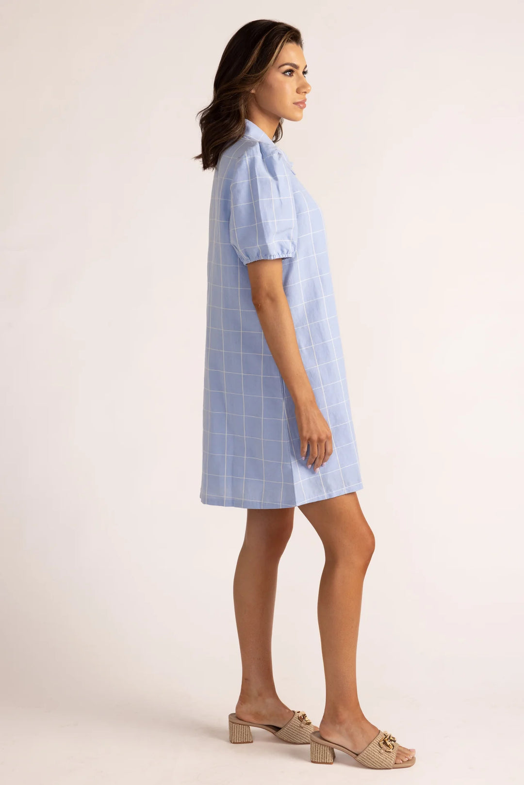 Anderson Dress (Window Pane)